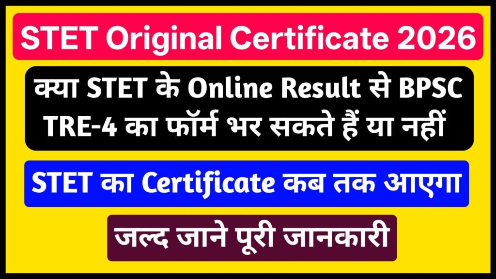 Stet Original Certificate 2026